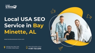 Local USA SEO Service in Bay Minette, AL