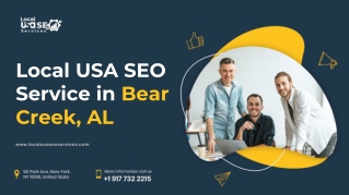 Local USA SEO Service in Bear Creek, AL