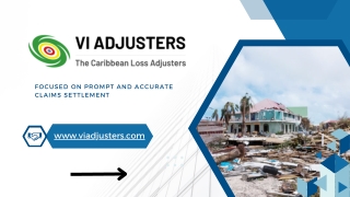 Renewable Energy Insurance Companies in Caribbean | VI Adjusters