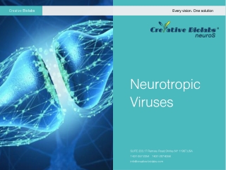 neurotropic-viruses-com