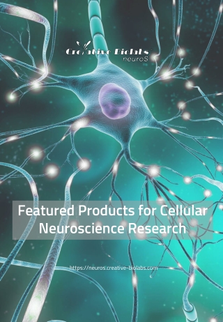 featured-products-for-cellular-neuroscience-research