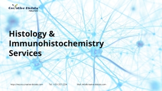 histology-and-immunohistochemistry-services-com