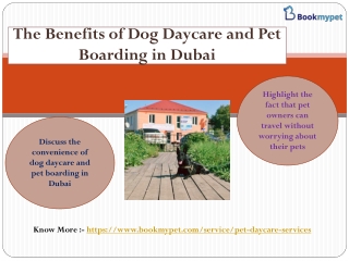 The Benefits of Dog Daycare and Pet Boarding