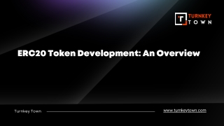 ERC20 Token Development An Overview