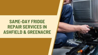 Same-day Fridge Repair Services in Ashfield & Greenacre