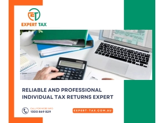 Reliable and Professional Individual Tax Returns Expert