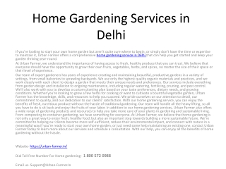 Home Gardening Services in Delhi