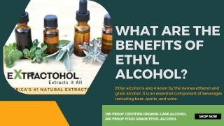 What Are the Benefits of Ethyl Alcohol