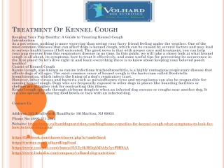 Treatment Of Kennel Cough