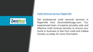 Mold Removal Service Naperville Zeromoldchicago.com