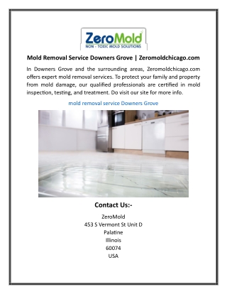 Mold Removal Service Downers Grove Zeromoldchicago