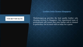 Leather Sofa Cleaner Singapore  Thebetterguys.sg