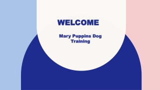 Best Dog obedience training in La Mesa