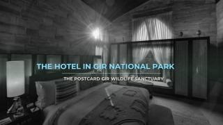 THE HOTEL IN GIR NATIONAL PARK: THE POSTCARD GIR WILDLIFE SANCTUARY