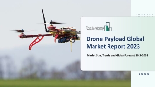 Drone Payload Market