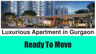 Luxurious Apartment in Gurgaon