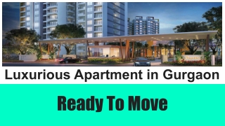 Luxurious Apartment in Gurgaon