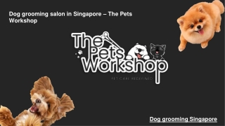 Dog grooming salon in Singapore – The Pets Workshop