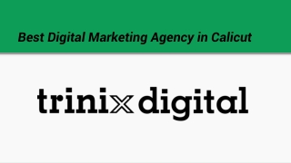 Best Digital Marketing Agency in Kozhikode, Calicut