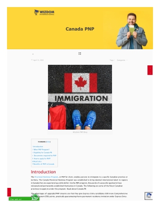 wizdominternational.com