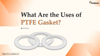 What Are The Uses Of PTFE Gasket