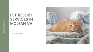 Pet Resort Services in McLean VA