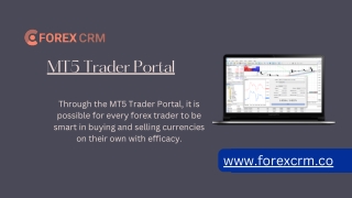 MT5 Trader Portal