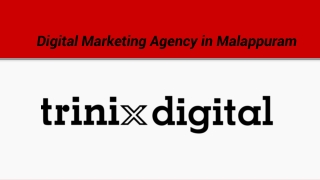Digital Marketing Agency in Malappuram, Edappal