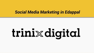 Trinix Digital | Social Media Marketing in Edappal