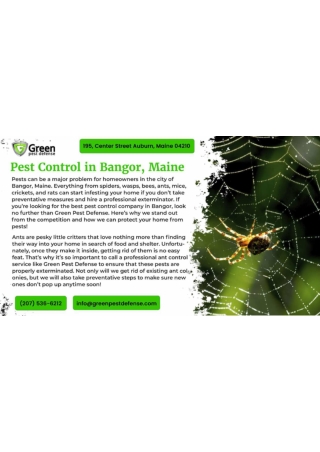 Maine Pest Inspection Spider GPD