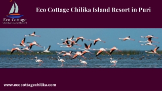 Eco Cottage Chilika Island Resort in Puri