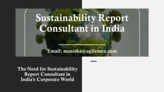 The Need for Sustainability Report Consultant in India's Corporate World