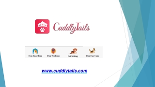 Dog Sitters Services With Cuddlytails in Arvada, CO