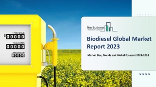 Biodiesel Market