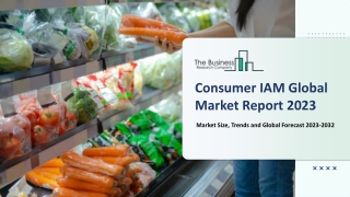 Consumer IAM Market