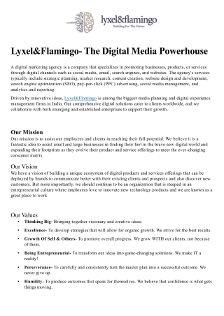 Meet the Digital Media Powerhouse for Your Brand- Lyxel&Flamingo