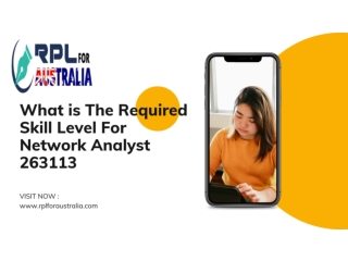 What is The Required Skill Level For Network Analyst 263113