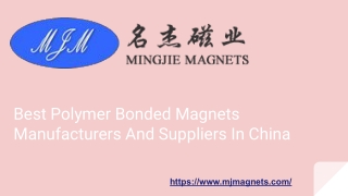 Best Polymer Bonded Magnets Manufacturers And Suppliers In China