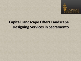 Capital Landscape Offers Landscape Designing Services in Sacramento