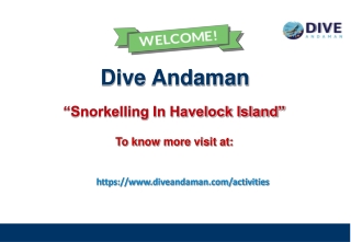 Snorkelling In Havelock Island