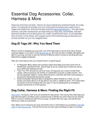 Essential Dog Accessories Collar, Harness  More