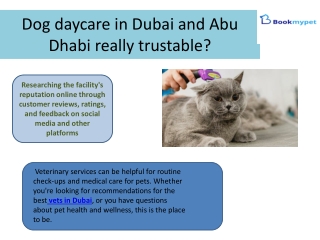 Dog daycare in Dubai and Abu Dhabi really