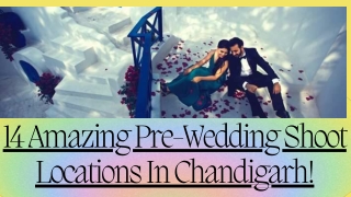 14 Amazing Pre-Wedding Shoot Locations In Chandigarh by Mohit Bansal Chandigarh_compressed