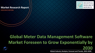 Meter Data Management Software Market Foreseen to Grow Exponentially by 2030