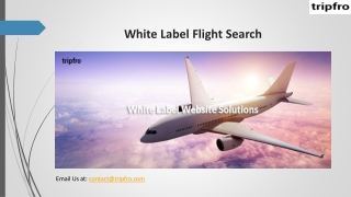 White Label Flight Search