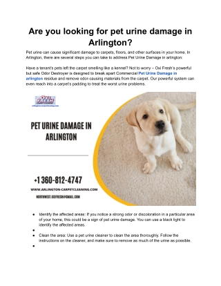 Are you looking for pet urine damage in Arlington_