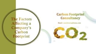 The Factors Affecting a Company's Carbon Footprint