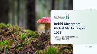 Reishi Mushroom Market 2023: Size, Share, Segments, And Forecast 2032