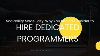 Hire a Remote Programmer