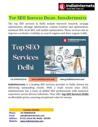 Top SEO Services Delhi